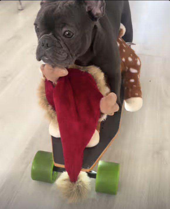 Frenchie Toy Wonderland Train !